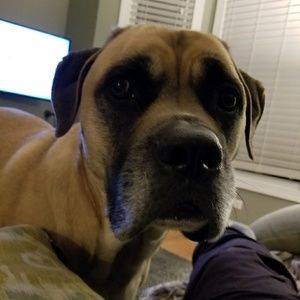 Meet your Posher, Nellen